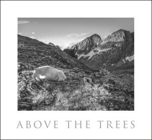 Colorado Black on White. John Fielder's first book of black & white images. - Image 3