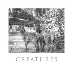 Colorado Black on White. John Fielder's first book of black & white images. - Image 6