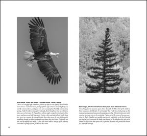 Colorado Black on White. John Fielder's first book of black & white images. - Image 7