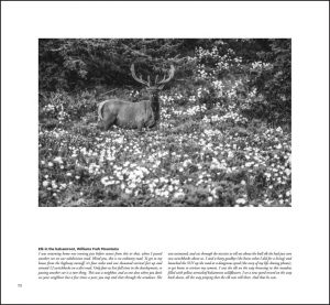 Colorado Black on White. John Fielder's first book of black & white images. - Image 8