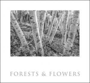 Colorado Black on White. John Fielder's first book of black & white images. - Image 11