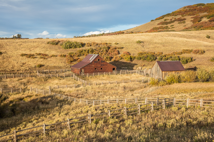 2022 Brilliant Fall Foliage in Historic Telluride - Image 20