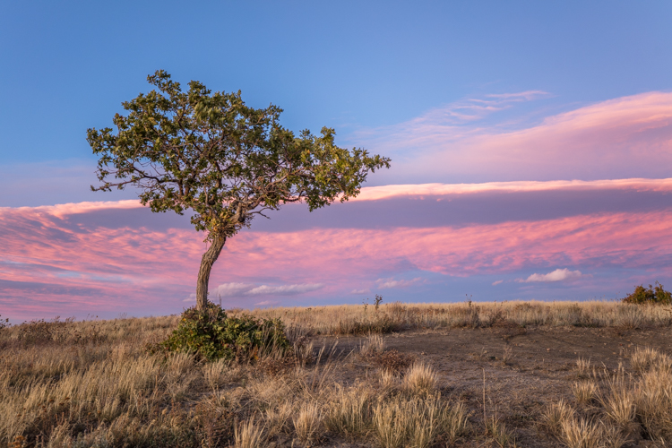 2022 Brilliant Fall Foliage in Historic Telluride - Image 19