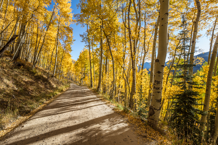 2022 Brilliant Fall Foliage in Historic Telluride - Image 13