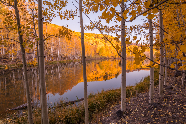 2022 Brilliant Fall Foliage in Historic Telluride - Image 11