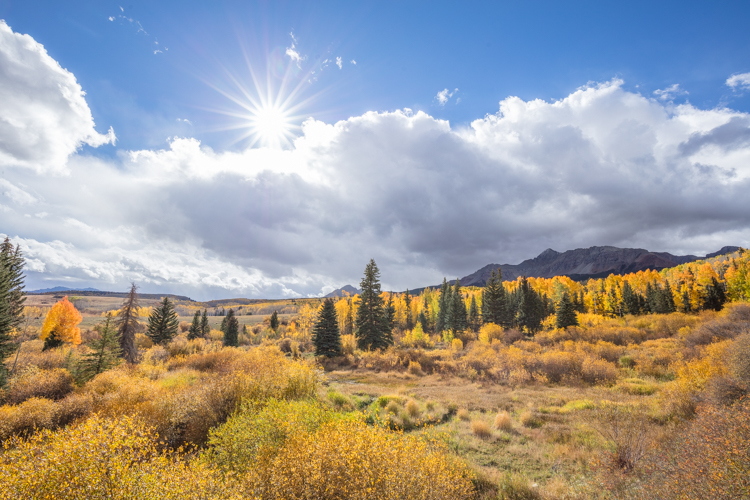 2022 Brilliant Fall Foliage in Historic Telluride - Image 7