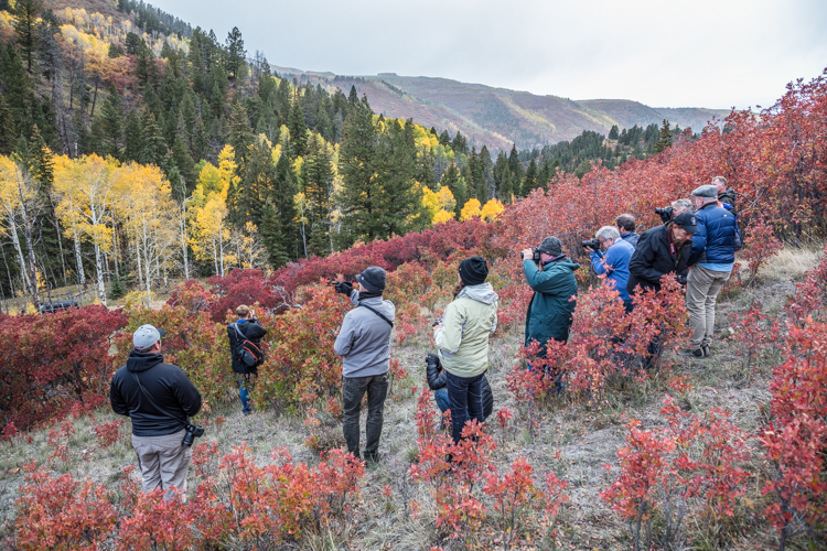 2022 Brilliant Fall Foliage in Historic Telluride - Image 6