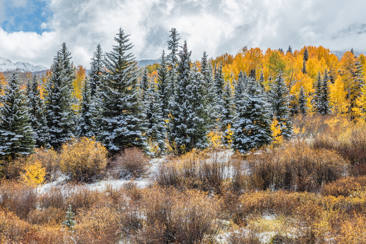 2022 Brilliant Fall Foliage in Historic Telluride - Image 5