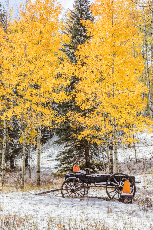 2022 Brilliant Fall Foliage in Historic Telluride - Image 4