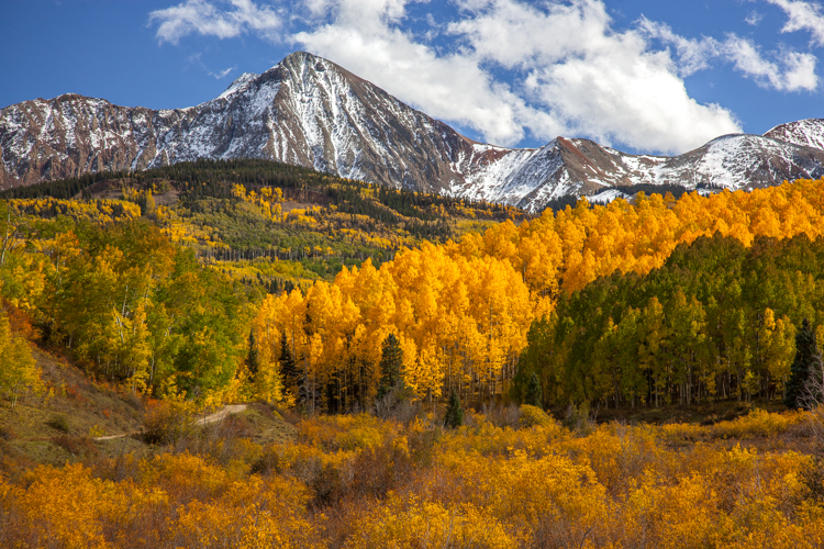 2022 Brilliant Fall Foliage in Historic Telluride - Image 3