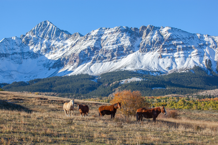 2022 Brilliant Fall Foliage in Historic Telluride - Image 2
