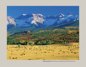 A Colorado Autumn, 2nd Edition - Image 5