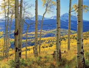 A Colorado Autumn, 2nd Edition - Image 3