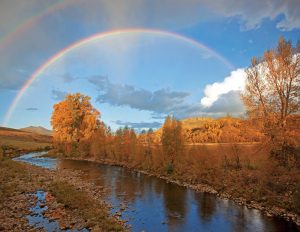 A Colorado Autumn, 2nd Edition - Image 16
