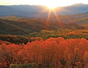 A Colorado Autumn, 2nd Edition - Image 13