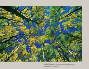 A Colorado Autumn, 2nd Edition - Image 12